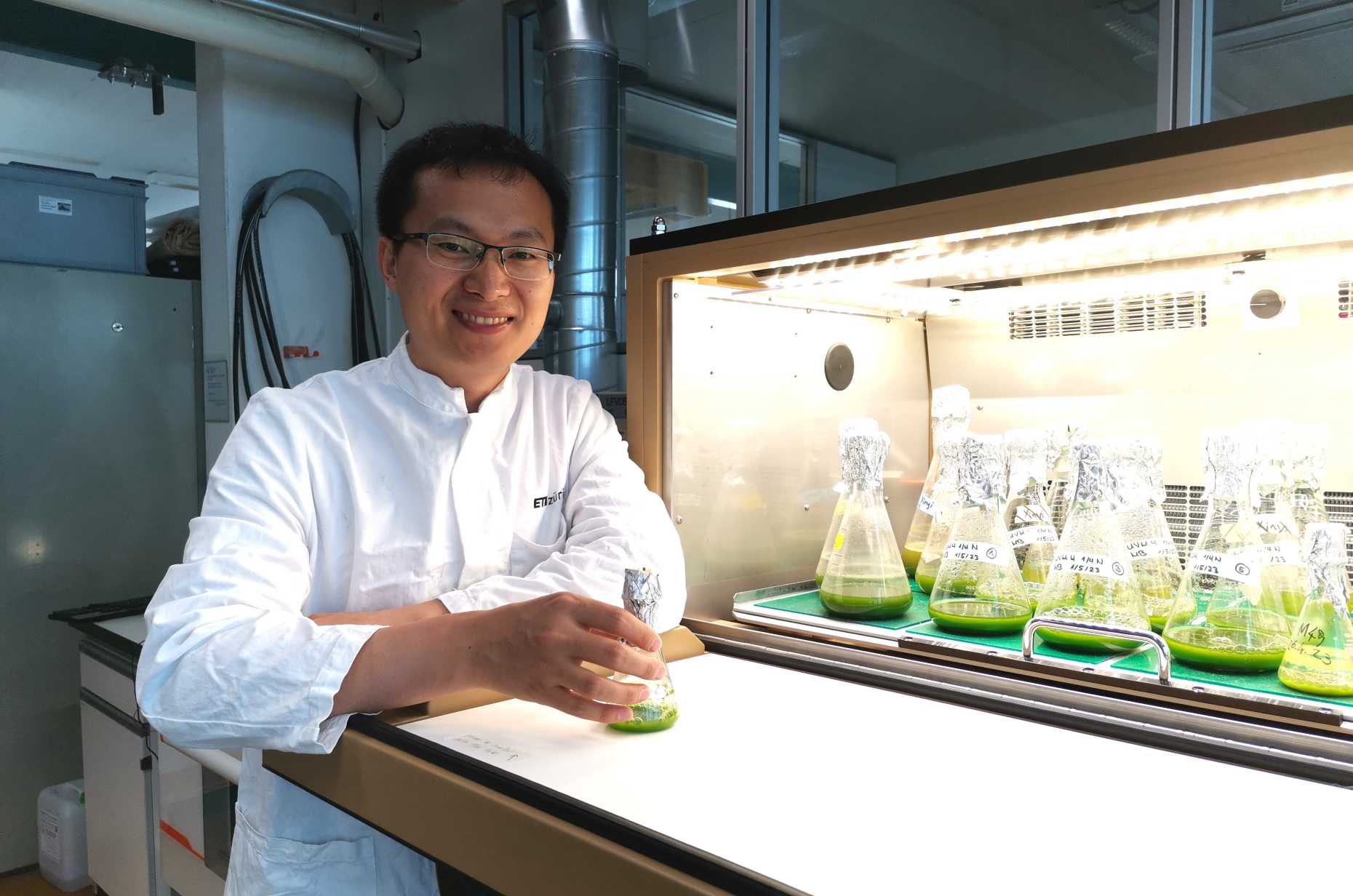 Enlarged view: Fengzheng Gao working on Microalgae in Human Nutrition and Health